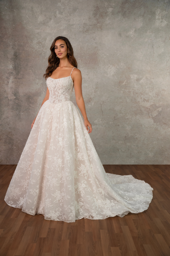 Essense of Australia D4425 #0 default (IV-BC) Ivory Lace and Tulle over Biscotti Gown thumbnail