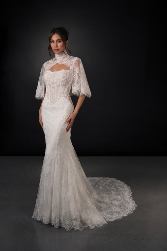 Martina Liana ML2010 #0 default (IV-IVR) Ivory Lace and Tulle over Ivory Gown thumbnail