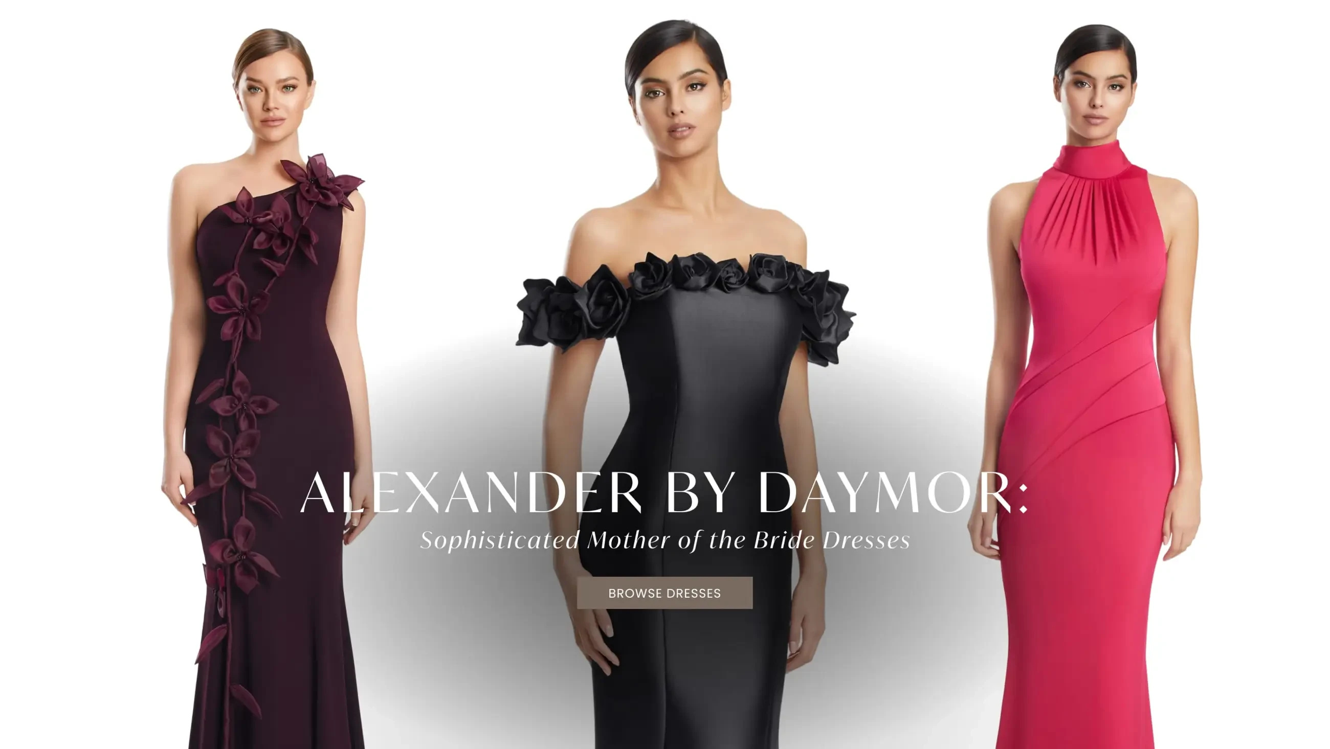 alexander by daymor banner 2026