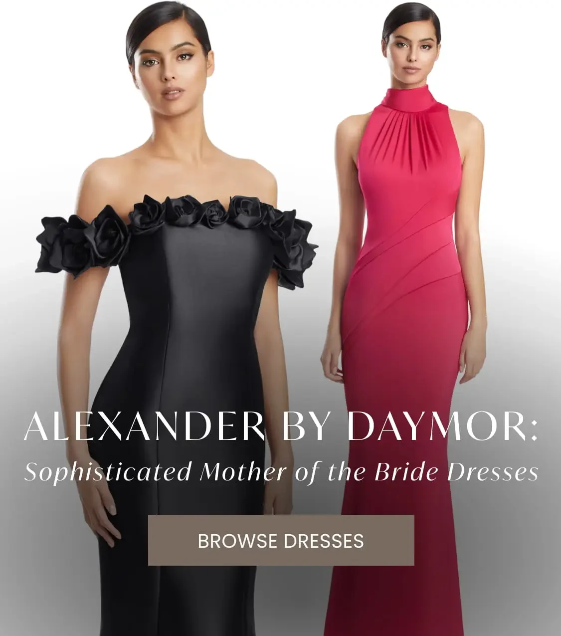 alexander by daymor banner 2026